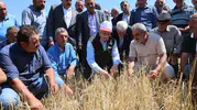 Nevşehir’de sel ve dolu tarlaları vurdu