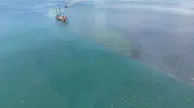 İzmit Körfezi temizlendi deniz canlıları geri döndü
