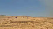 Tekirdağ’da alevlerin arasında hasat mücadelesi