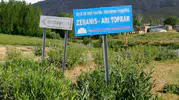 Van'da bir mahallede kuduz karantinası başladı