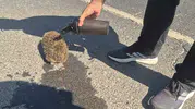 Tekirdağ yangınında polisten kirpiye şefkat eli