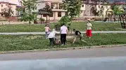 Denizli'de parkta dehşet anları Doktor saldırgan köpeği durdurdu