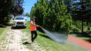 Elazığlılar için sineksiz bir yaz mesaisi başladı
