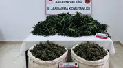 Serik jandarmasından uyuşturucuya büyük darbe