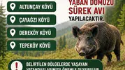 Akçakoca’da pazar günü sürek avı alarmı verildi