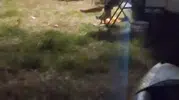 Cunda Adası’ndaki kampta tilki sürprizi
