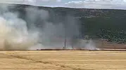 Araban Ovası’nda büyük yangın 93 dönüm buğday yandı