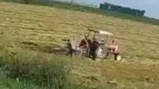 Antakya tarlasında talihsiz kaza kameraya yansıdı