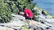 Avcılar sahilinde köpeğe şiddet anları kameraya yansıdı