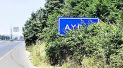 Aydın girişindeki şehir tabelası yabani otların altında kayboldu
