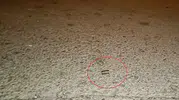 Yıldırım’da gece yarısı silahlı kavga