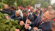 Trabzon'da fındık bahçelerini kurtaracak doğal ordu sahaya indi
