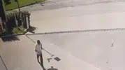 Elazığ sokaklarında karga dehşeti kameraya yansıdı
