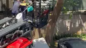 Kadıköy’de ağaçta mahsur kalan kediye itfaiye el uzattı