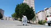 Osmangazi’de haşerelere karşı ilaçlama mesaisi başladı