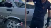 Malatya’da kayısı bahçesindeki otomobile yılan girdi