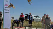 Adıyaman dağlarında keklik mesaisi