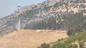 Nurdağı'nda zeytin bahçesinden sıçrayan alevler ormanı küle çevirdi