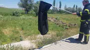 Çorum'da evdeki davetsiz misafir paniği