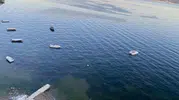 Gemlik Körfezi’nde müsilaj korkusu yerini berrak sulara bıraktı
