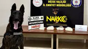 Düzce girişinde polise takılan takside 3 milyonluk zehir çıktı