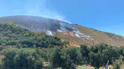 Hatay'da orman yangını paniği havadan müdahale ile bitti