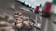 Ankara çevre yolunda patates trafiği