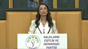 Hatimoğulları'ndan barış süreci için Meclis'e takvim çağrısı
