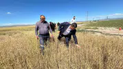 Şereflikoçhisar’da dolu felaketi sonrası çiftçiye destek adımı atıldı