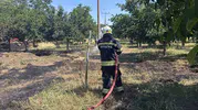 Muğla’da iki ayrı noktada çıkan ot yangını korkuttu