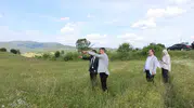 Saraydüzü çeltik üreticisinin beklediği tesis için düğmeye basıldı