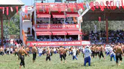 Kırkpınar er meydanında altın kemer ve büyük ödül heyecanı