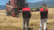 Edremit ovasında altın başaklar biçerdöverlerle buluştu