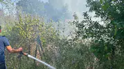 Çanakkale Ezine’de çıkan ot yangını korkuttu