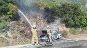 Karaburun yolunda yanan otomobil ormanı teyakkuza geçirdi
