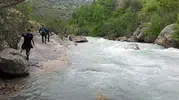 Adana’da piknik faciası Genç adam yedi gündür çayda kayıp
