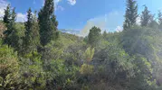 Marmaris ormanlarında yıldırım alarmı