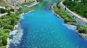 Murat Nehri martıların gökyüzü dansına ev sahipliği yapıyor