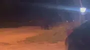 Düzce'de gece yarısı köy meydanına ayı indi