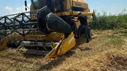 Köşk çiftçisi için hasat dönemi başladı Biçerdöverlere yakın takip