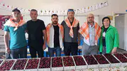 Manisa Börez kirazı için binlerce kişi bir araya geldi