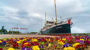 Samsun kültür ve sanatla dolacak Festival başlıyor