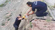 Çorum’da altı metrelik duvardan düşen yavru kedi kurtarıldı