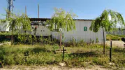 Afyonlu öğrenciler kuşlar için kolları sıvadı