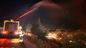 Hatay’da ihmal zeytinlikleri küle çevirdi