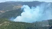 Soma ormanlarında alevler yükseliyor