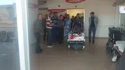 Sivas'ta çobanı ayıdan kangal köpekleri kurtardı
