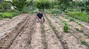 Yusufeli'nde boş vakitleri toprağa dönüştüren eğitimciler