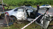 Ordu'da kontrolden çıkan otomobil ağaçları devirdi