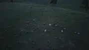 Sarıkamış arazisinde boz ayı ile köpeklerin kıran kırana takibi